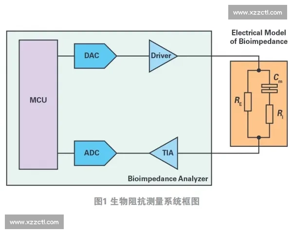 皇马 AI 医疗革命：生物电阻抗与代谢组学重塑伤病预防体系